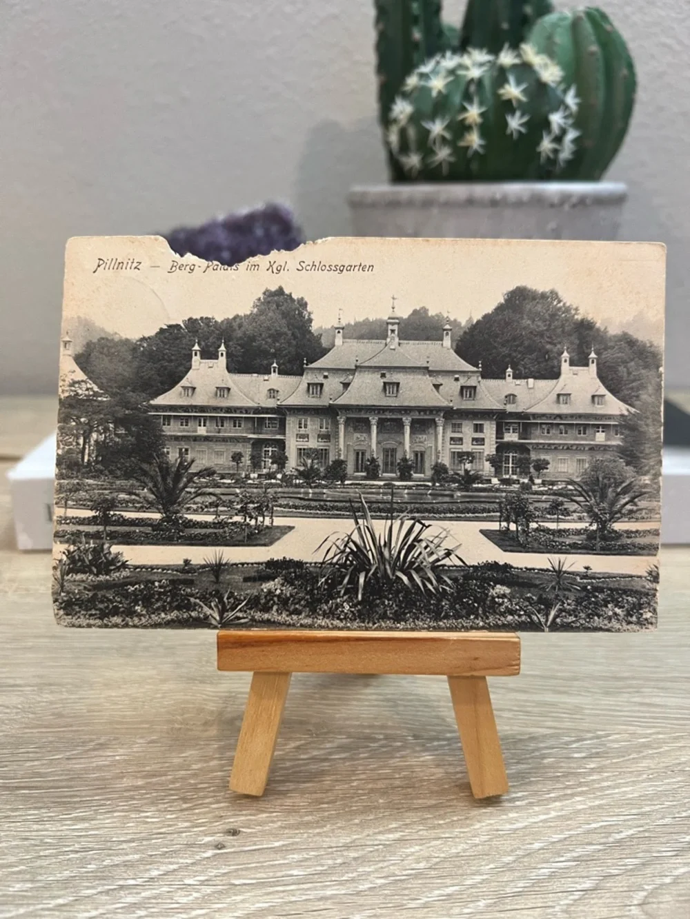 Antique Pillnitz Berg Palais Dresden Germany Posted German Postcard